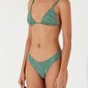 Swim Zulu & Zephyr | Pine Pinstripe Curve Brief